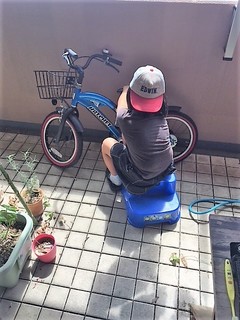 IMG_3717.JPG