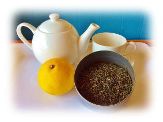 darjeeling11.jpg